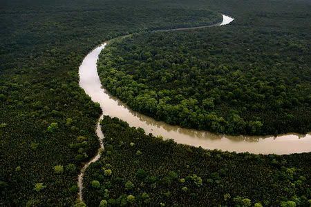 Đa dạng sinh học đảo Borneo